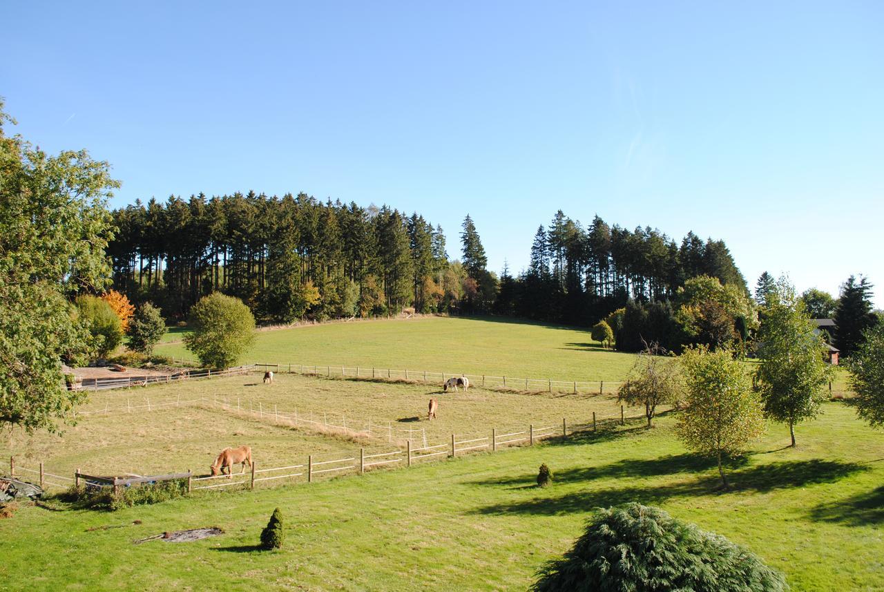 ברילון Landgasthof Gruss מראה חיצוני תמונה